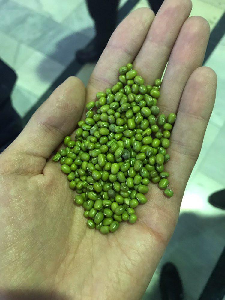 Mung Beans