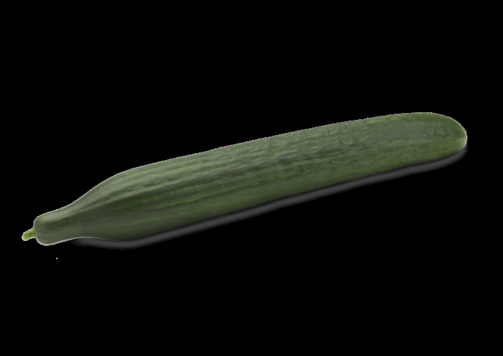 Cucumber