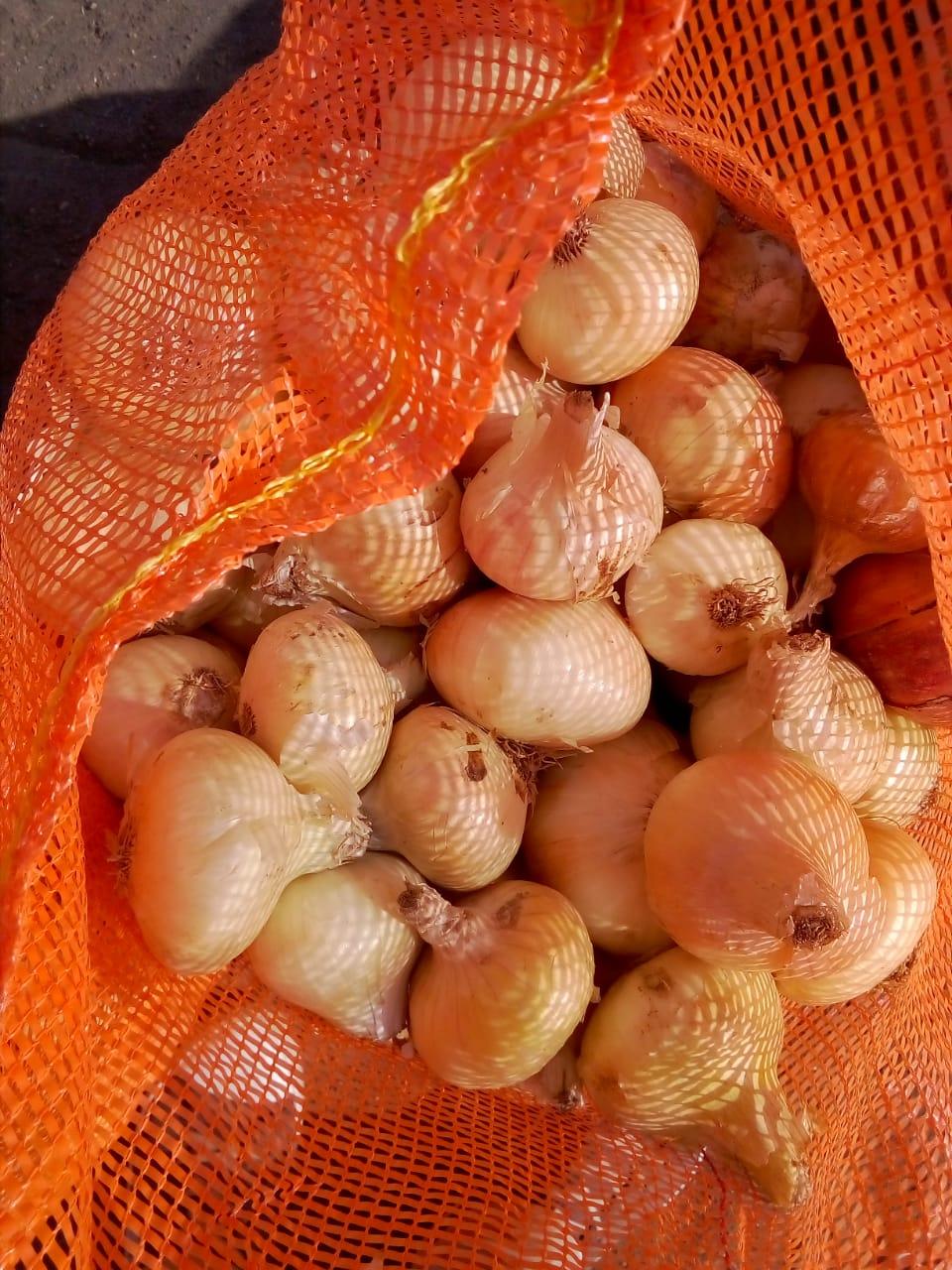 Fresh Potatoes
