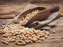 SOYBEAN GMO AND NON GMO