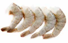 Headless Shell-On / Easy Peel Shrimp