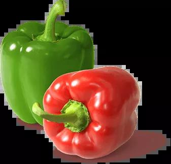 Paprika