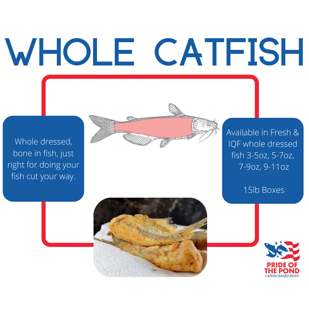 Catfish