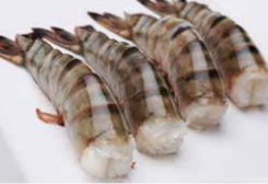 Headless Shell-On Shrimp