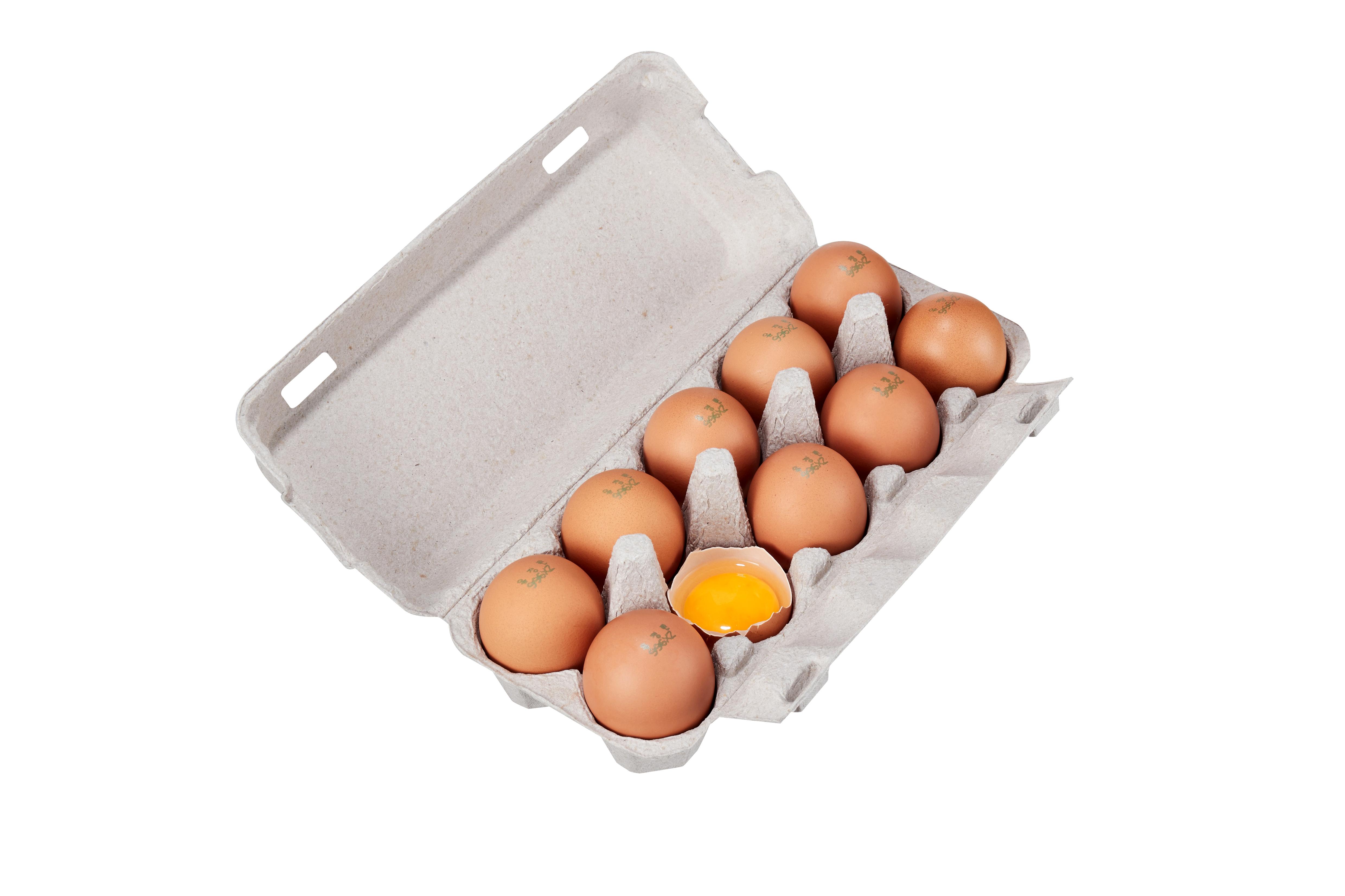 EGG