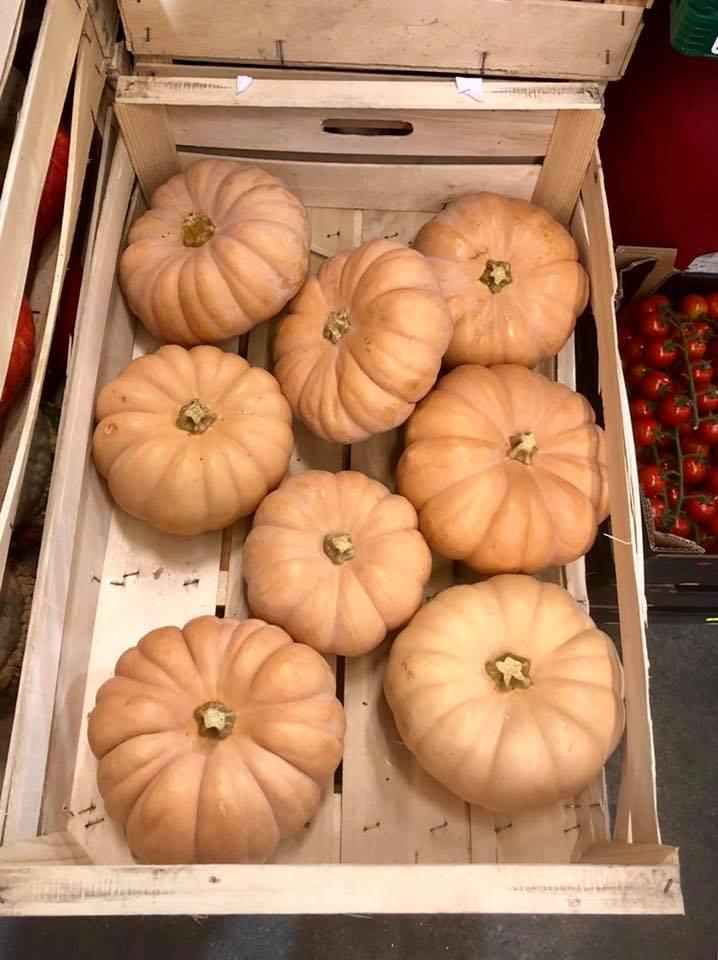Pumpkin
