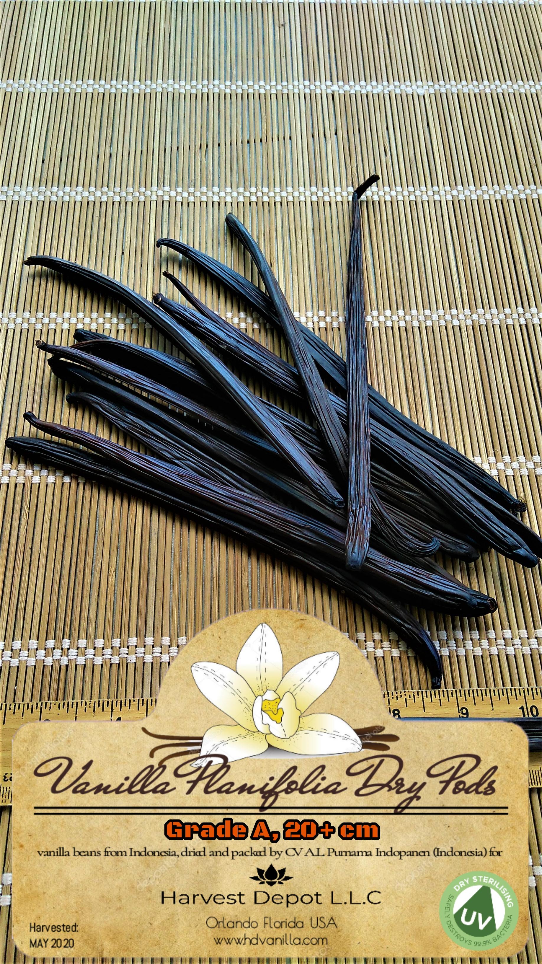 Dry Indonesian Vanilla Planifolia whole Pods - Grade B, size 10-20 cm