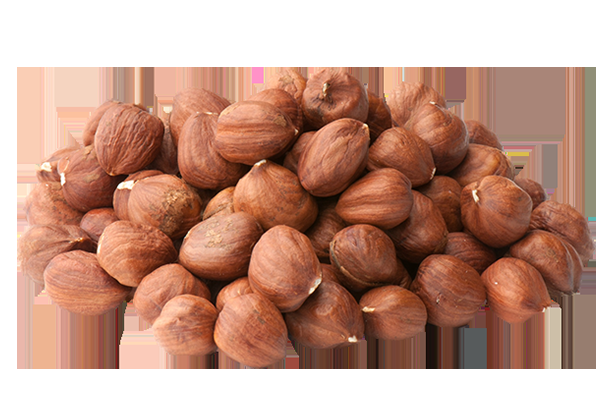 Hazelnut
