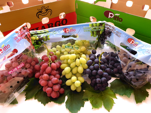 Fresh Grapes