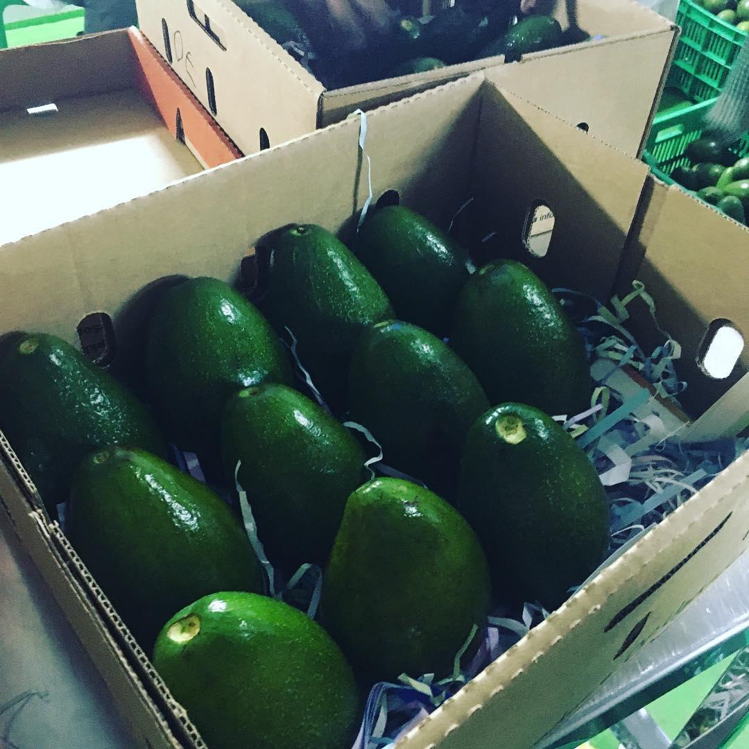 Avocado