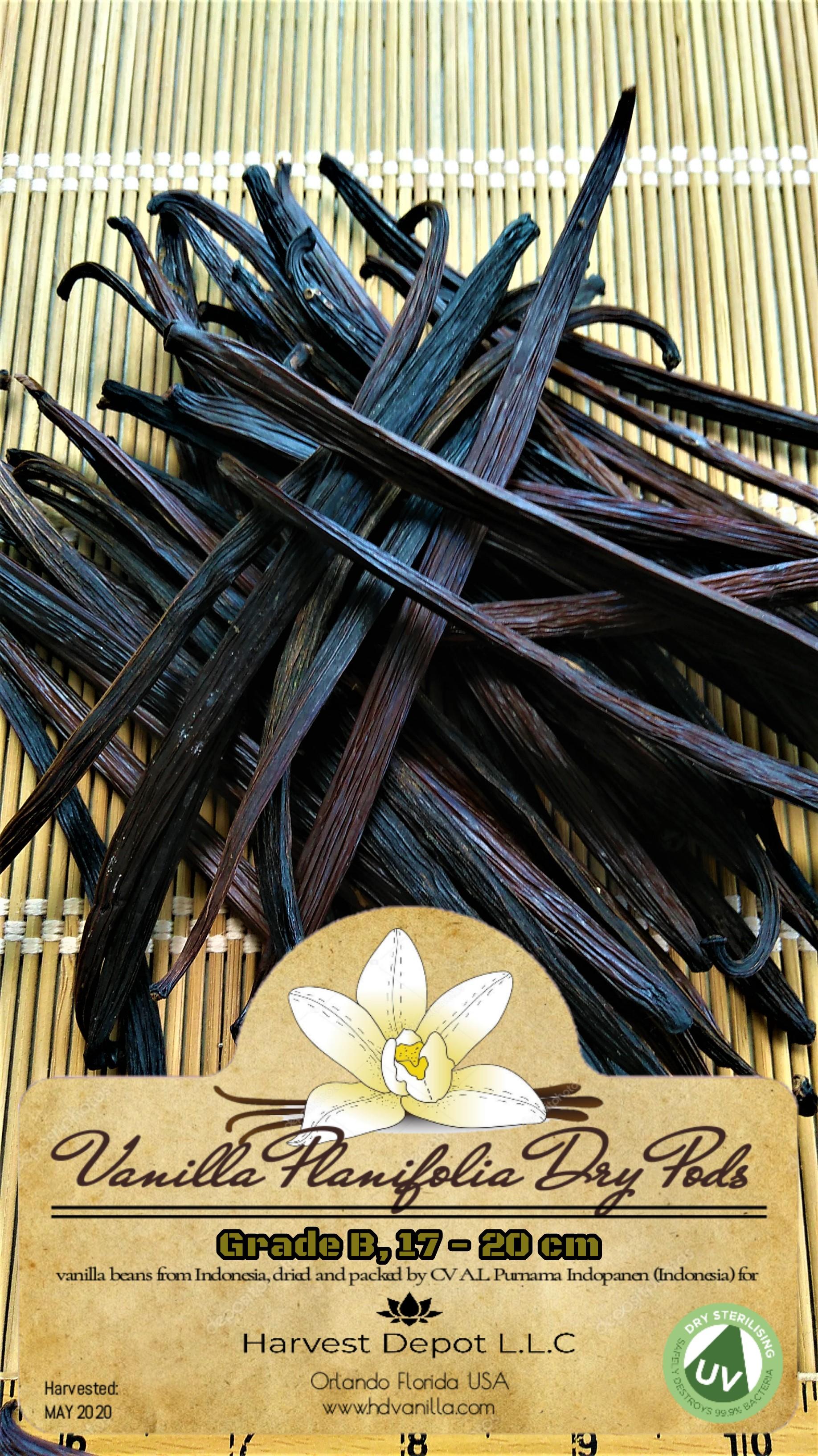 Dry Indonesian Vanilla Planifolia whole Pods - Grade B, size 10-20 cm