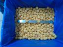 IQF Cantaloupe Melon / Honeydew Melon