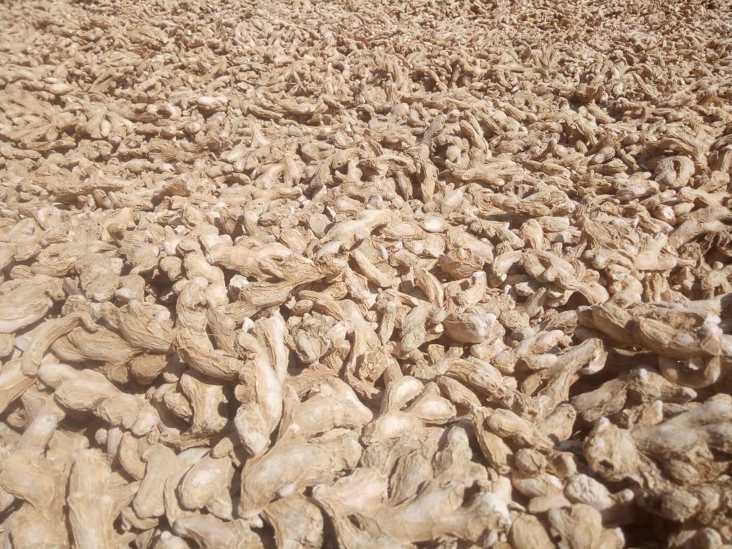 Fresh Ginger