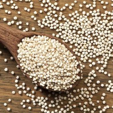 Quinoa