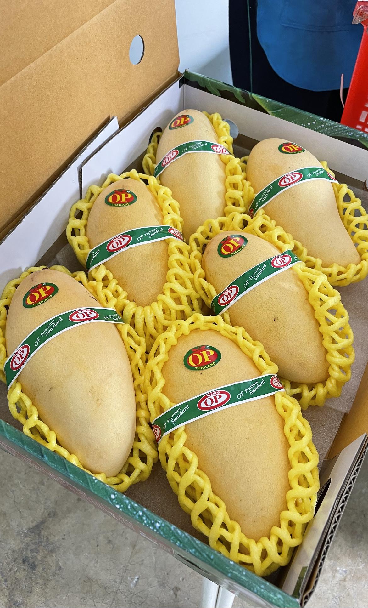 Flower Mango ( Nam Dok Mai )