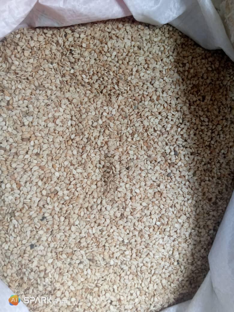 Non GMO Sesame seeds