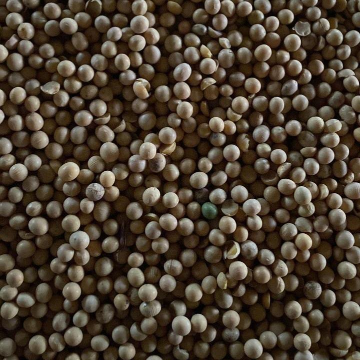 Soya beans
