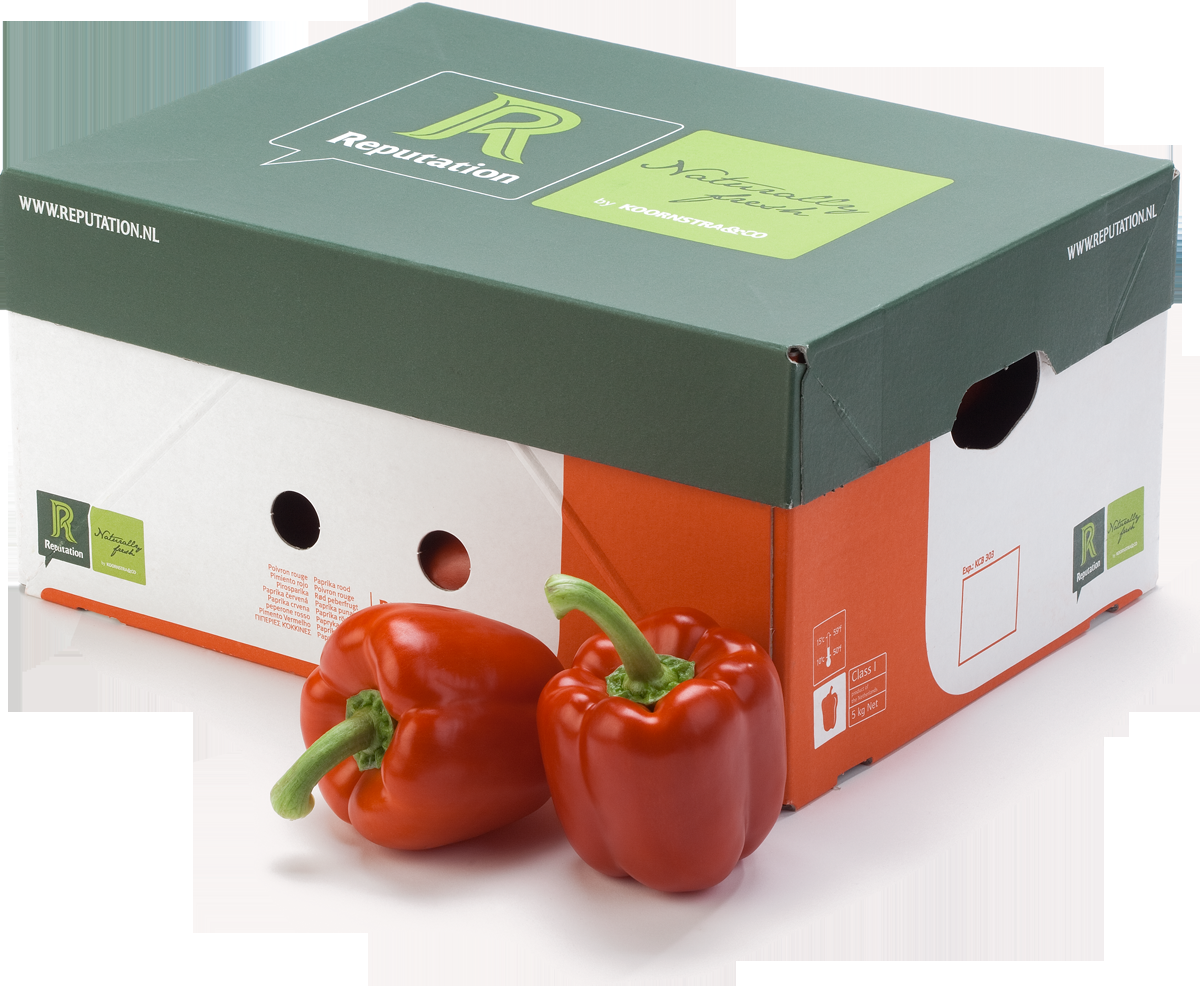 Capsicum