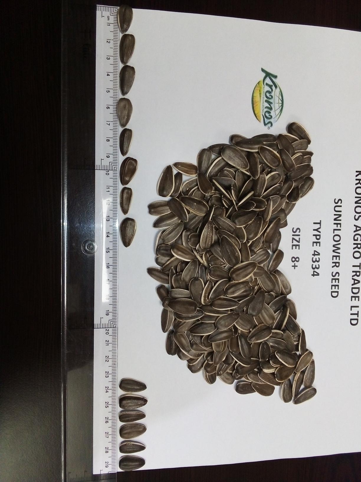 Sunflower Seed