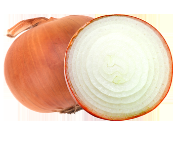 Onion