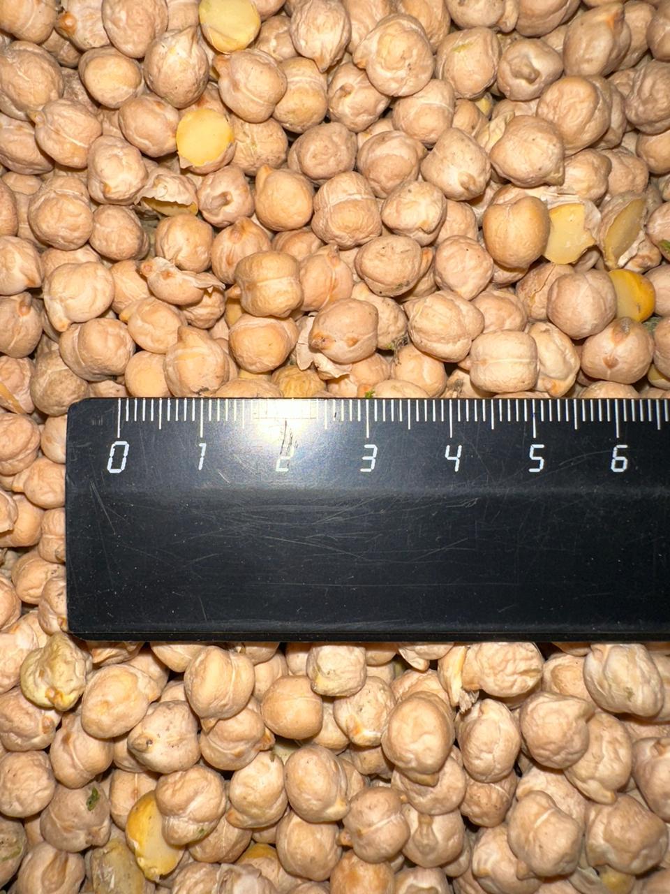 chickpeas