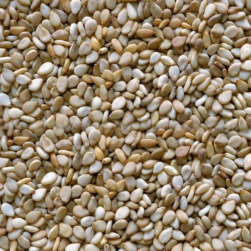 Sesame Seed
