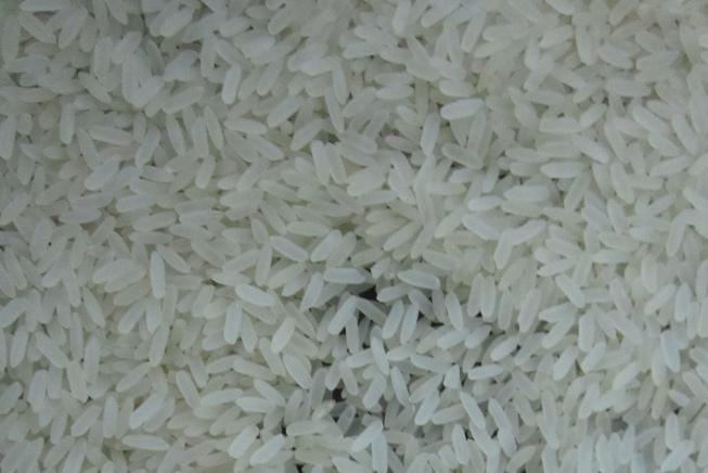 1121 Steamed Rice