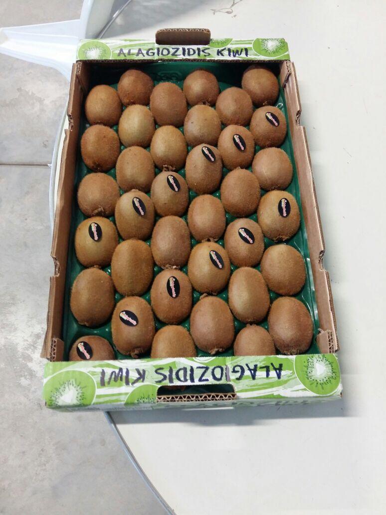 Fresh Kiwifruit