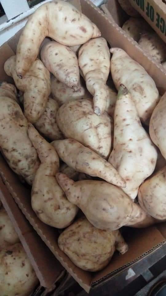 sweet potato