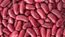 GREEN MUNG BEAN