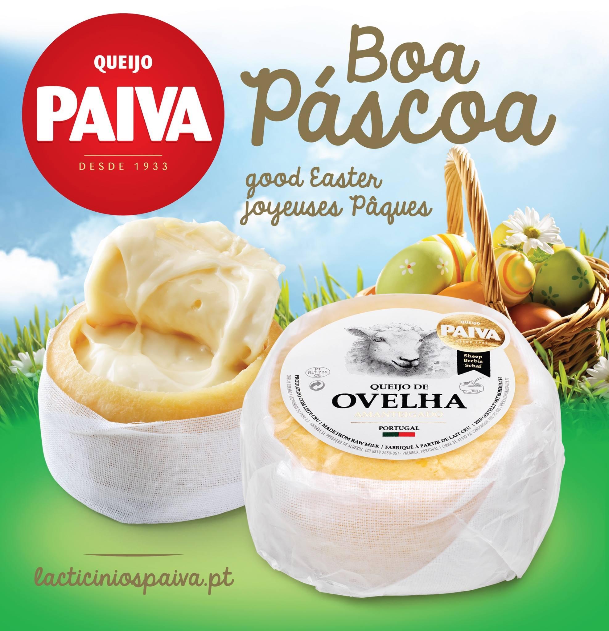 Goat Milk Cheese