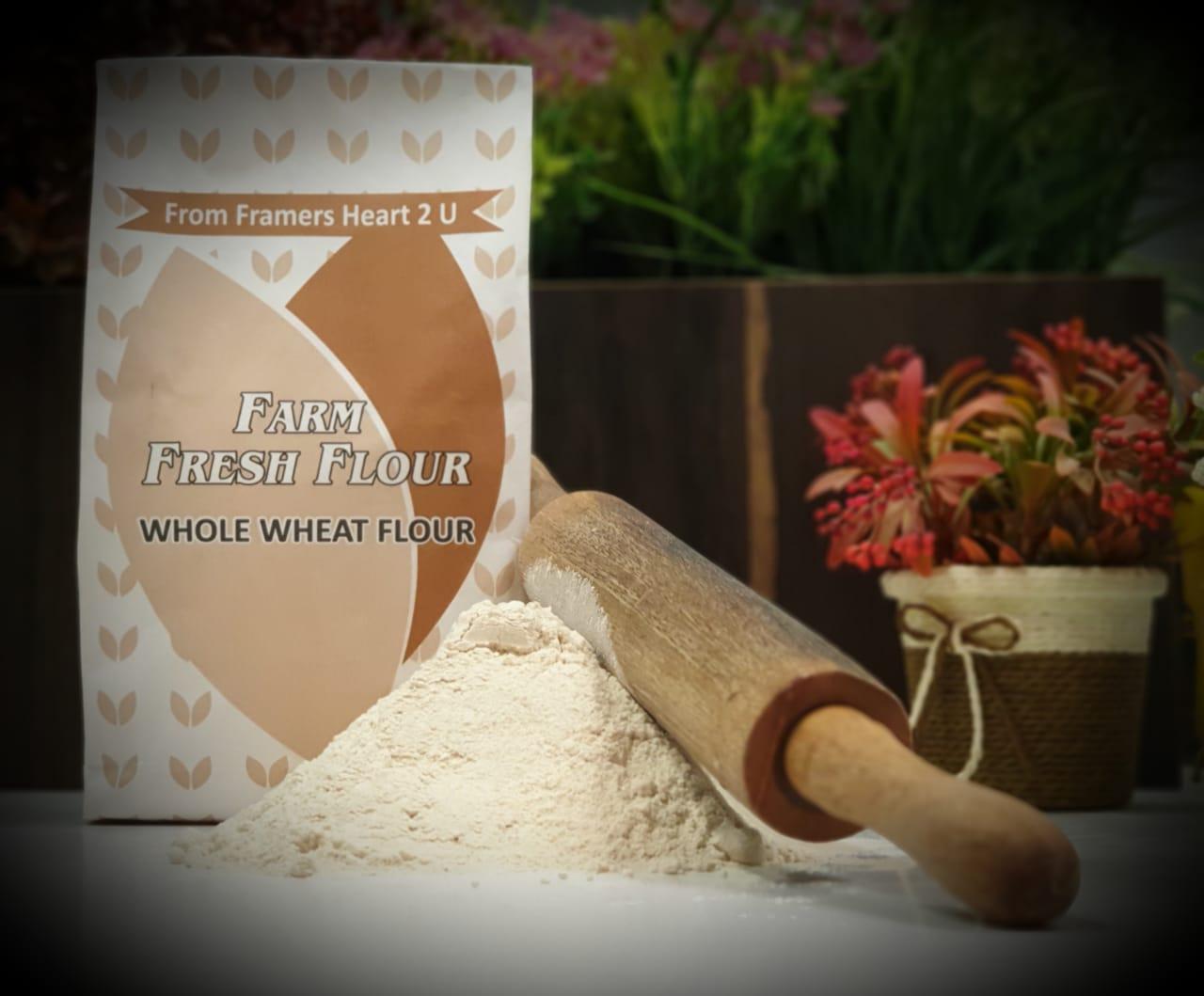 White Gold Flour