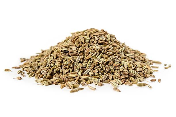 fennel