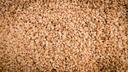 Sesame Seeds