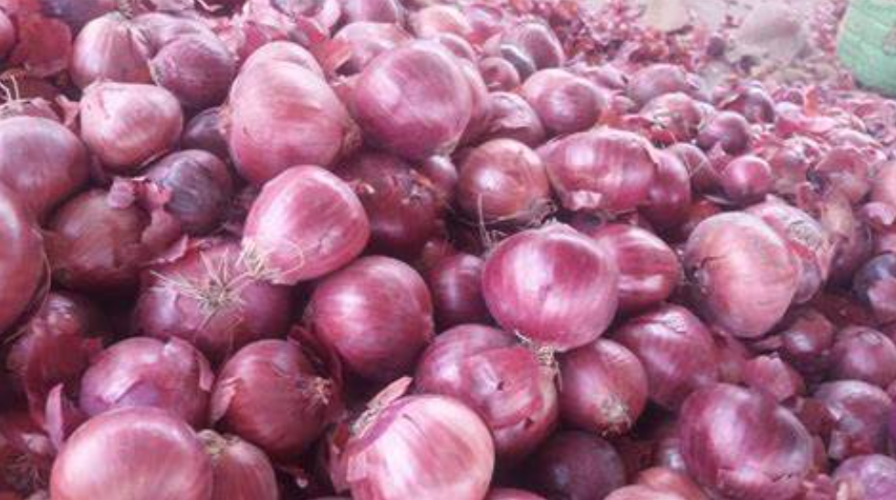 Onion