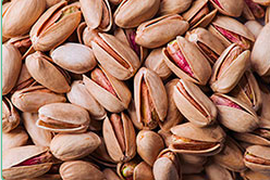 Iranian Pistachio