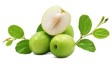 Jujube