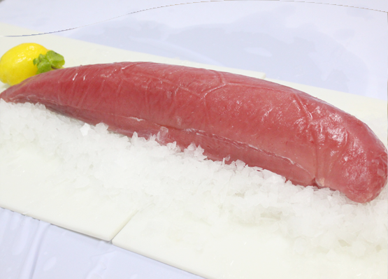 Fresh Frozen Tuna