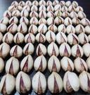 Pistachio