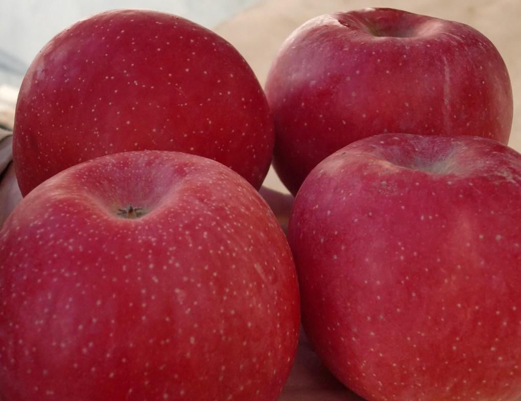 Fresh Whole Fuji Apple