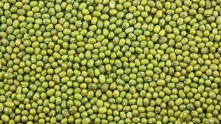 Green gram