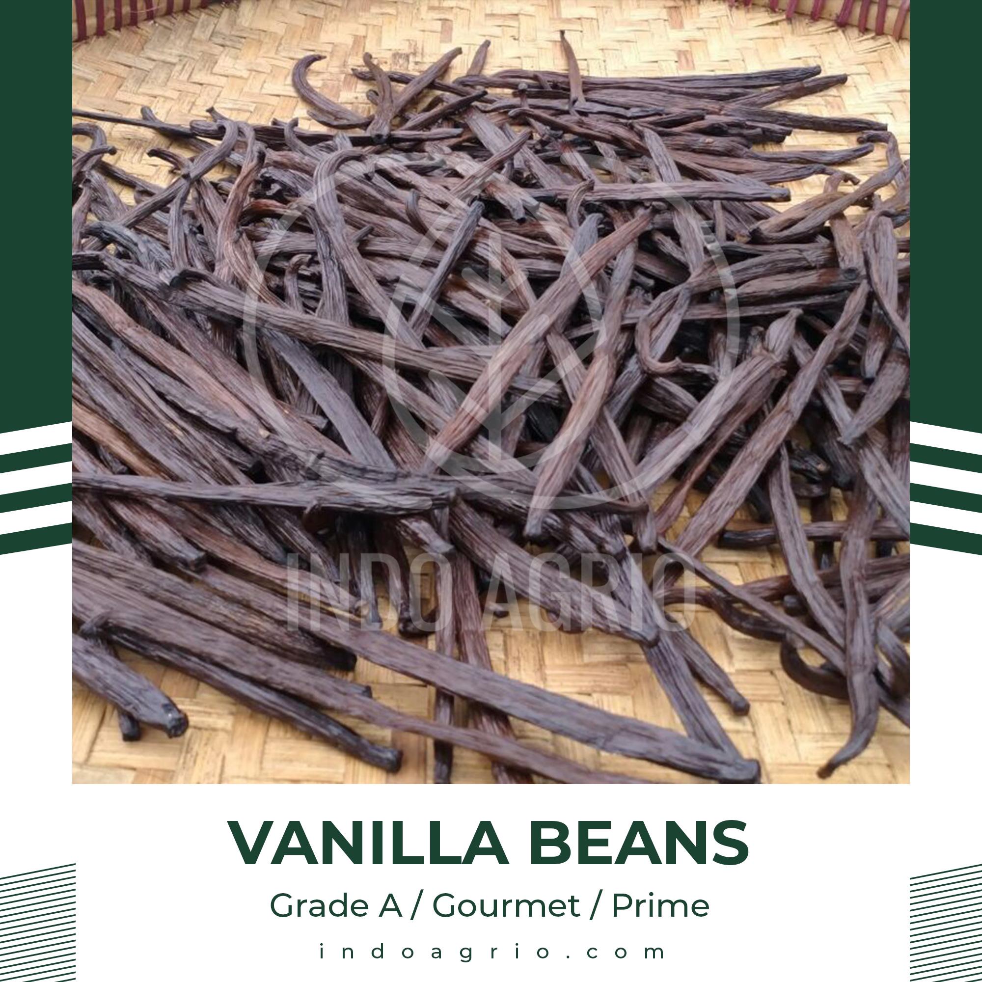 Vanilla Beans / Vanilla Pods - Vanilla Planifolia