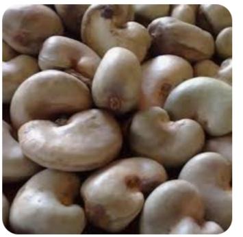 Cashew nuts