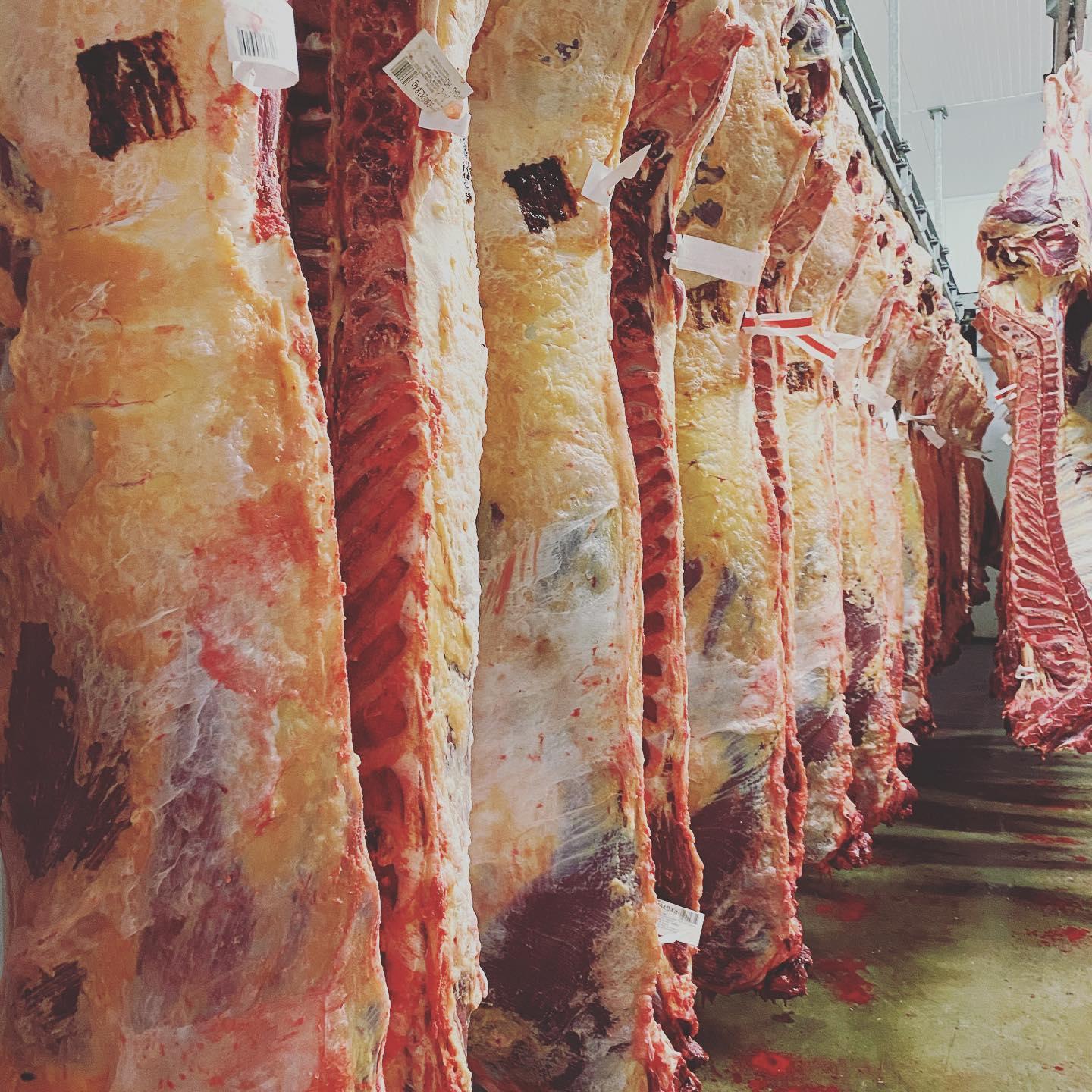Fresh Beef