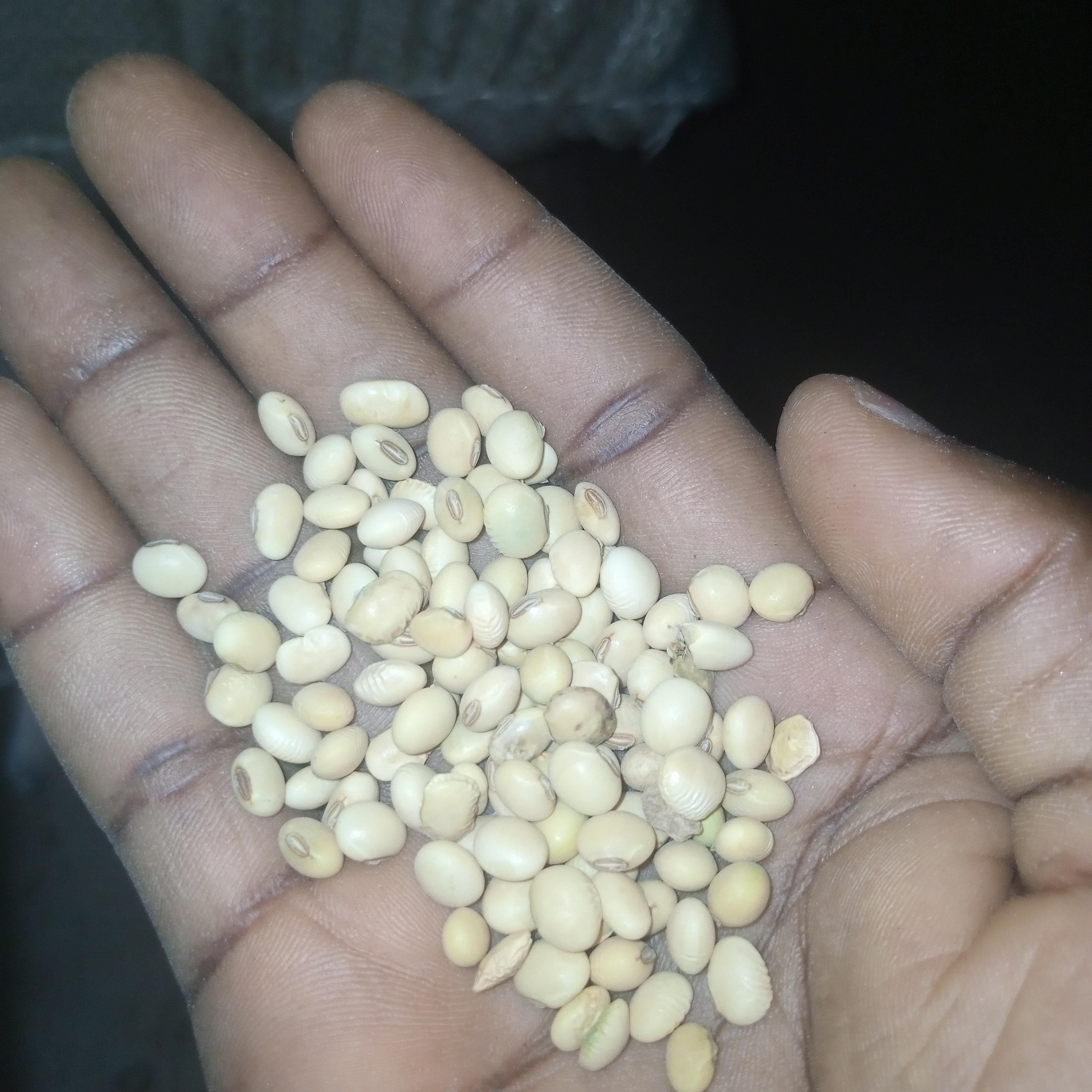 Soybeans