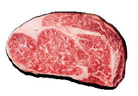 Fresh Beef