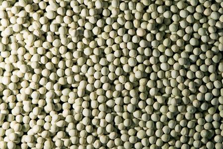 Green Pea