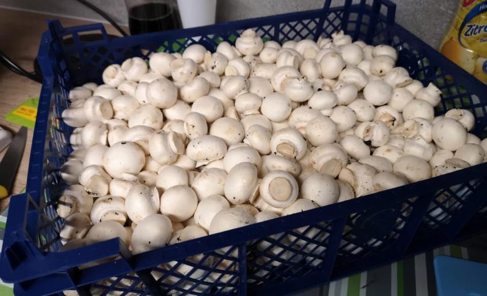 White Mushrooms