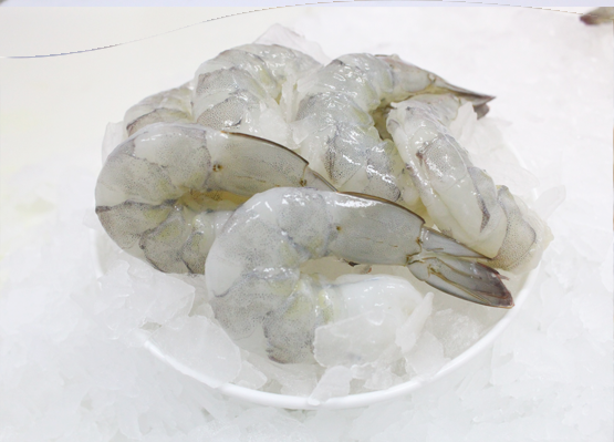 Frozen Shrimp