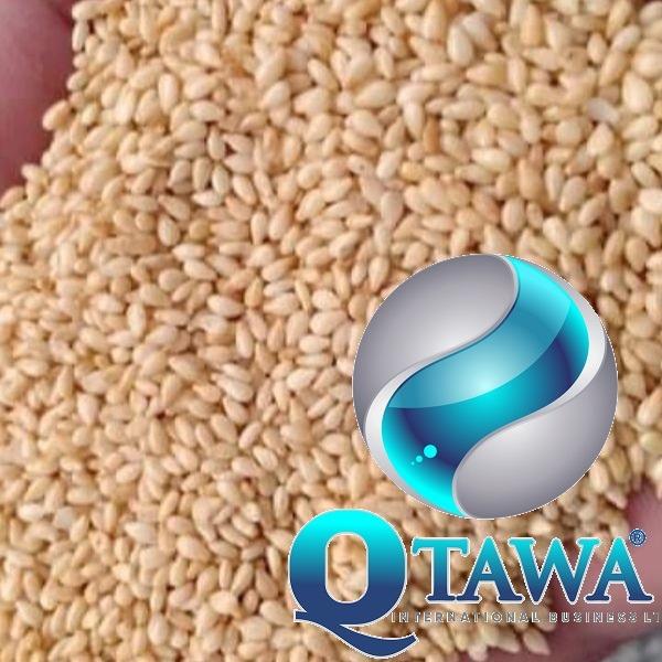 SESAME SEED